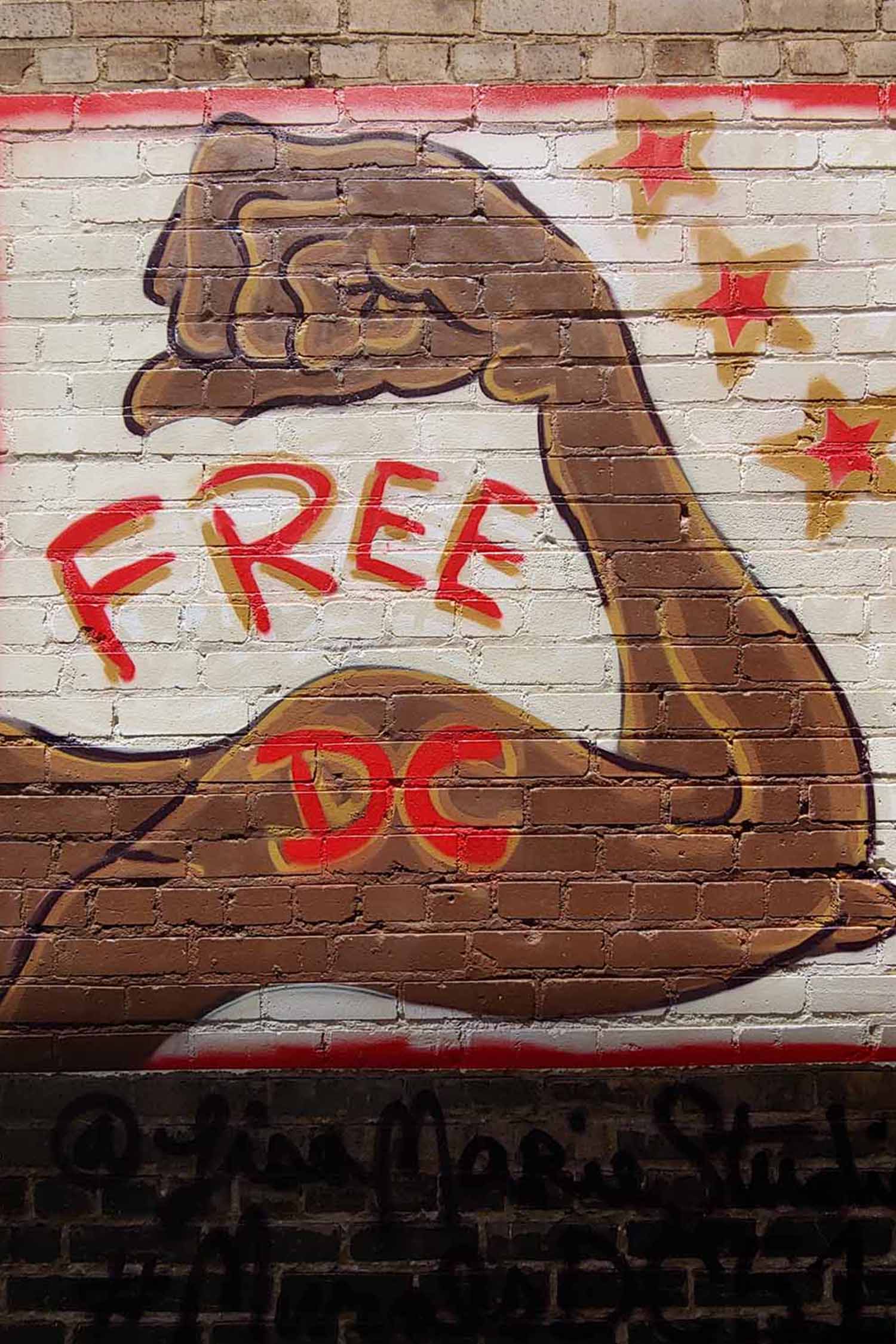 Building mural advocating for a FREE DC